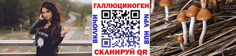 Галлюциногенные грибы Psilocybine cubensis Малая Вишера